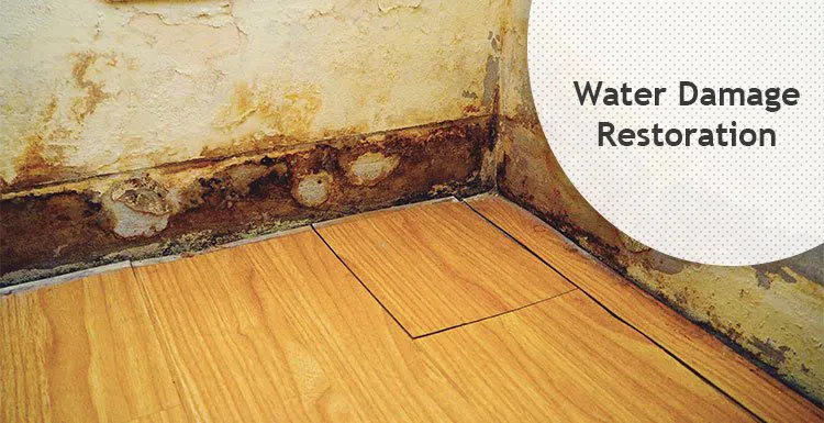 #bslide1 logo-image - banner-1-v2-wgr-24