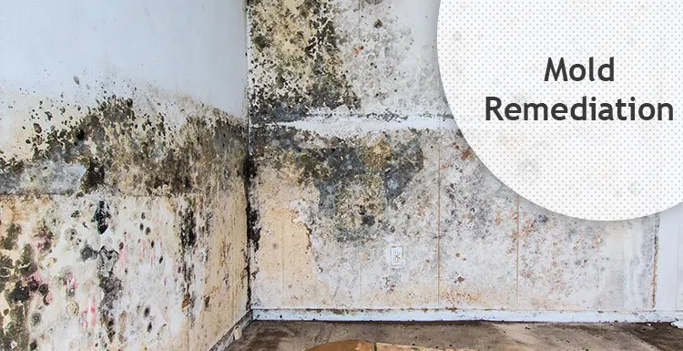 #bslide2 logo-image - banner-2-v2-wgr-24