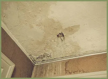 Delray Beach Restoration Company Delray Beach, FL 561-325-7358 Delray Beach Restoration Company Delray Beach, FL 561-325-7358