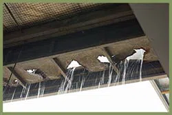 Delray Beach Restoration Company Delray Beach, FL 561-325-7358 Delray Beach Restoration Company Delray Beach, FL 561-325-7358 - sid-leaks-serv-wgr-24